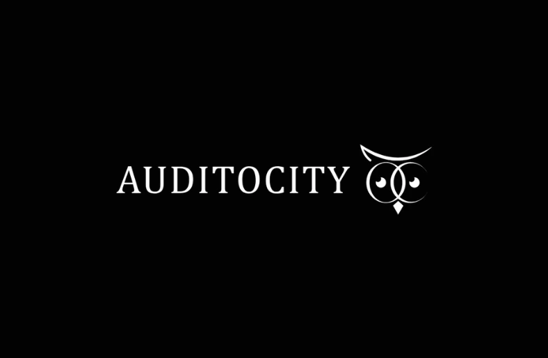 Auditocity Is Redefining HR Compliance With Automated, Real-Time Auditing Auditocity: Custom HR Audit and Compliance Solution