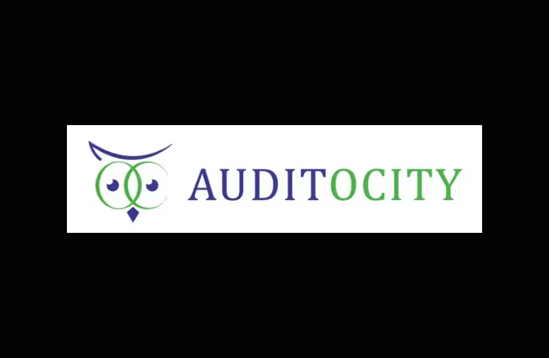 Auditocity: Human resources SaaS platform