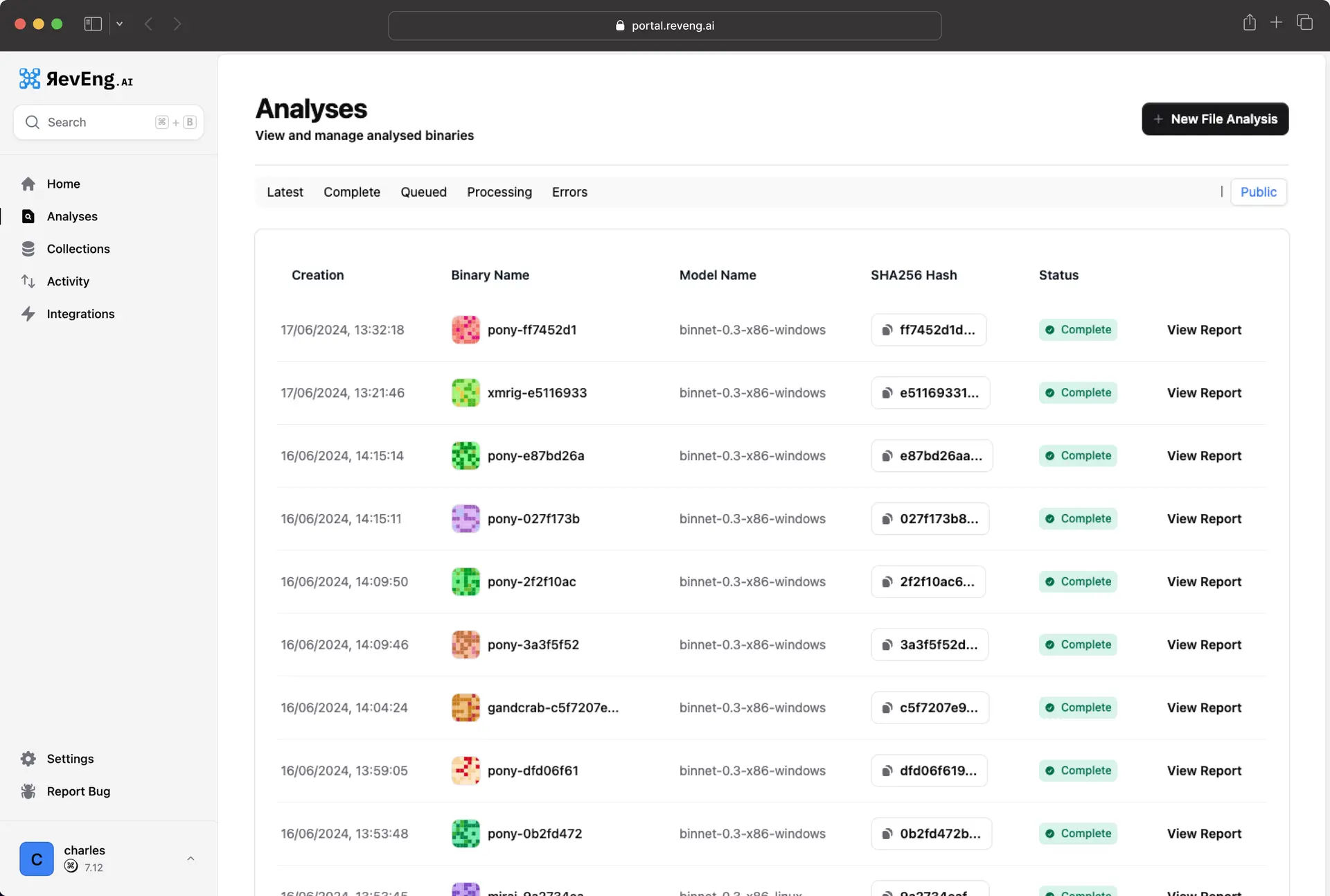 RevEng.AI uses AI models to analyze compiled binaries, revealing hidden behavior without access to source code.