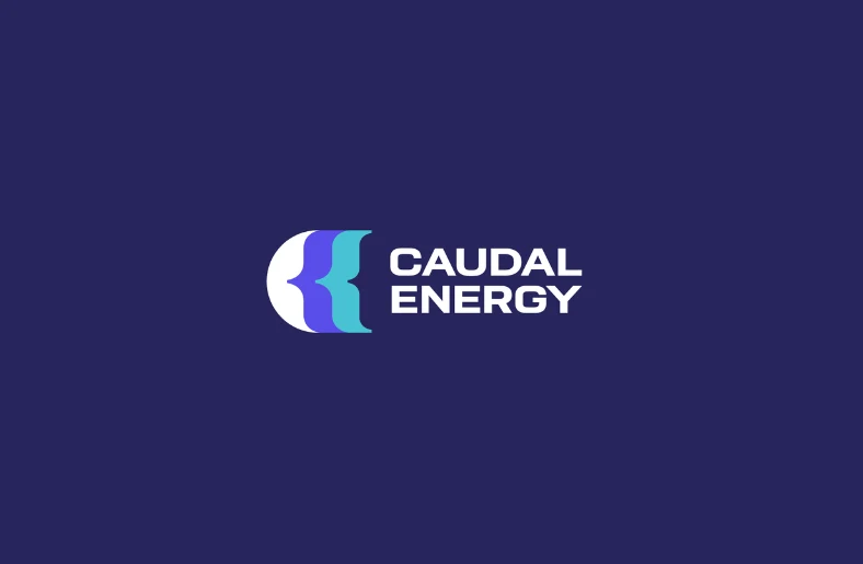 Caudal Energy Mimics Whale Tails to Generate Cleaner Electricity What Is Caudal Energy? The Startup Building Dolphin-Inspired Tidal Power