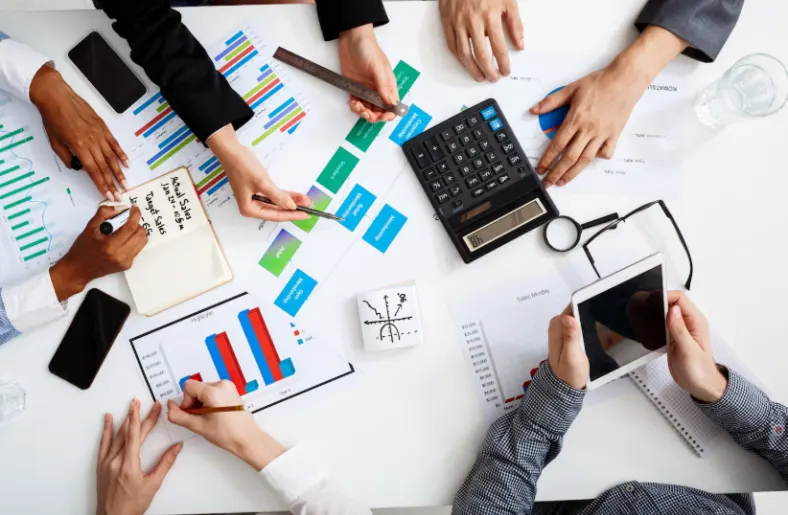 Key Functions of AI Tools for Chartered Accountants