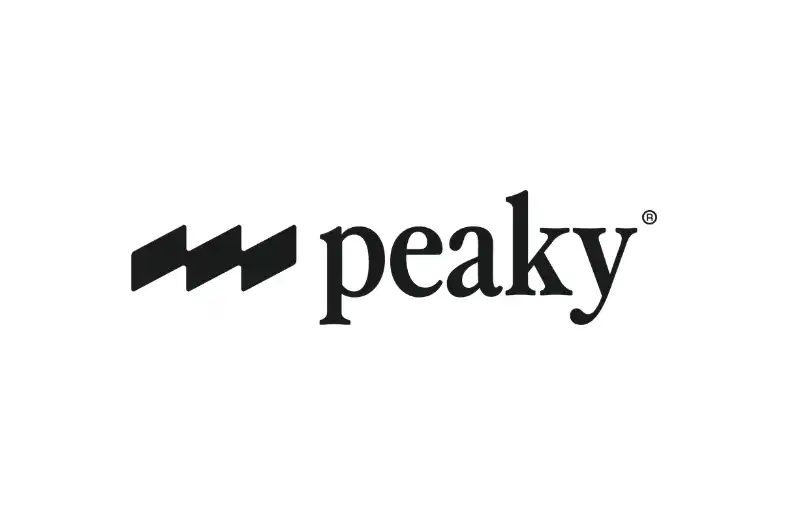 Belgian-based Peaky is working to turn the CFO's financial model from a static spreadsheet into a continuously updated navigation system for the business.